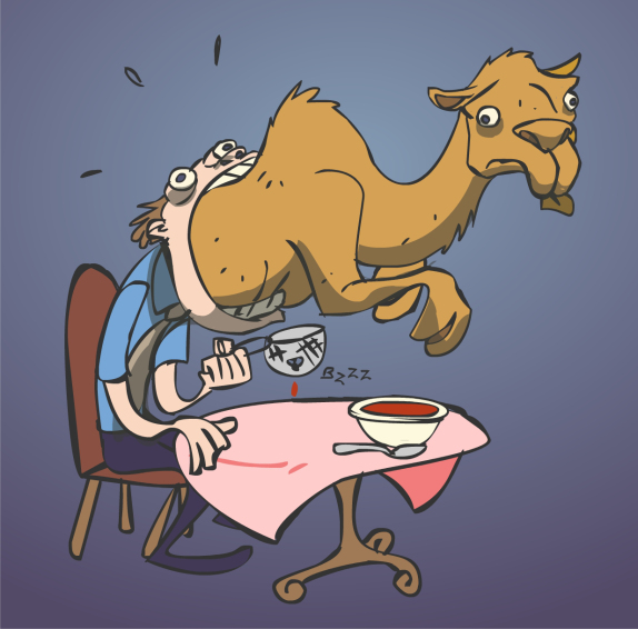 gnat camel